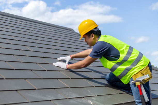 Best Roof Repair Services  in Hollywood Park, TX