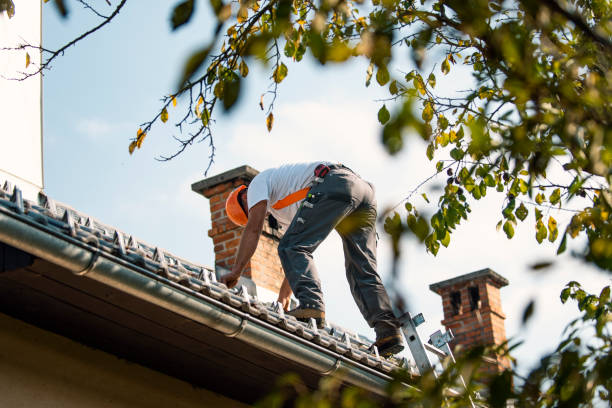 Roof Installation Near Me in Hollywood Park, TX